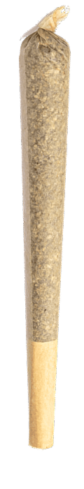 Delta-8-THC-Infused-Pre-Roll 1